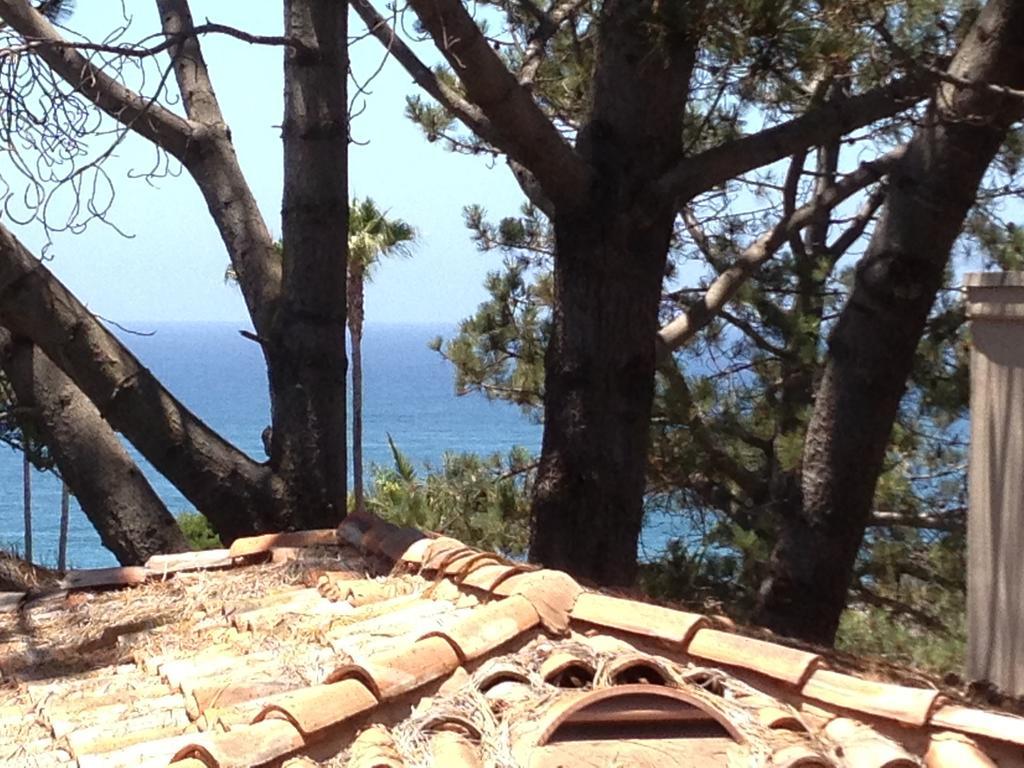 Les Artistes Inn Del Mar Bilik gambar